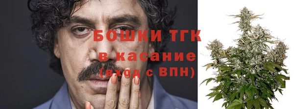 дмт Аркадак