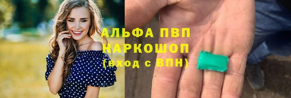 дмт Аркадак