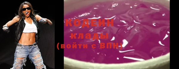 дурь Арсеньев