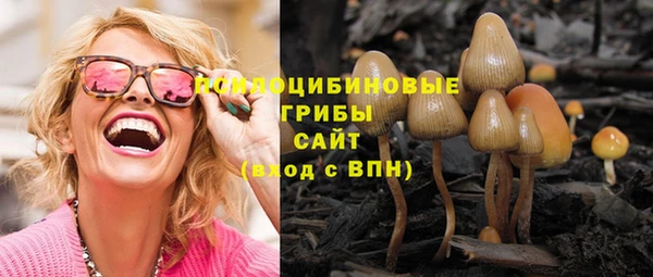 дмт Аркадак