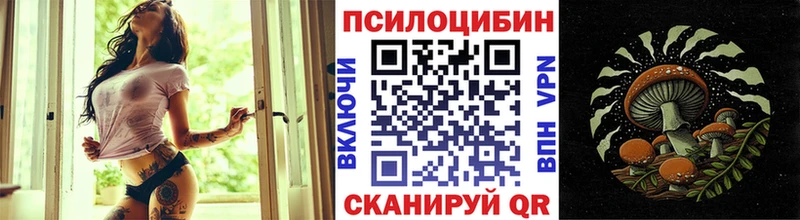 Галлюциногенные грибы ЛСД  цены   ссылка на мегу ссылка  Губкин 